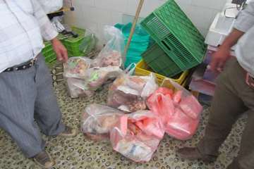 فعالیت های بخش نظارت