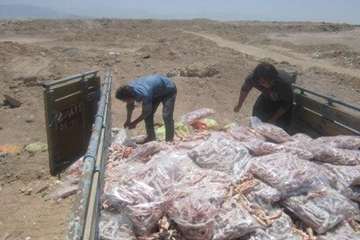 معدوم سازی فرآورده های خام دامی