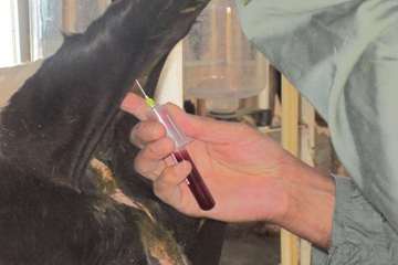 فعالیت های بخش اداره مبارزه