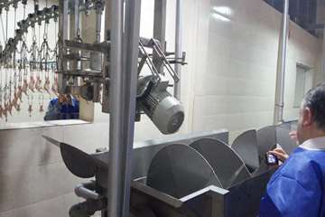 کشتار صنعتی بلدرچین شیرکوه