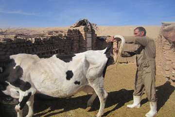 فعالیت های بخش اداره مبارزه