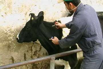 فعالیت های بخش اداره مبارزه