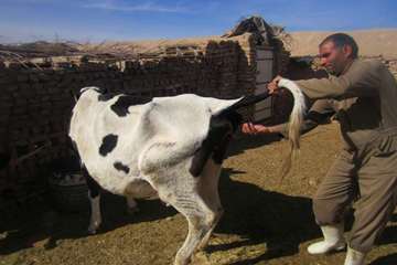 فعالیت های بخش اداره مبارزه