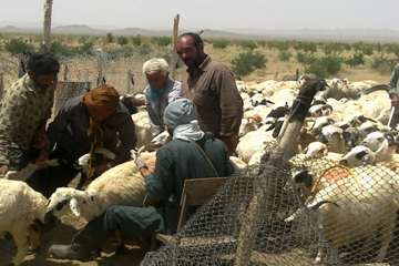 فعالیت های بخش اداره مبارزه