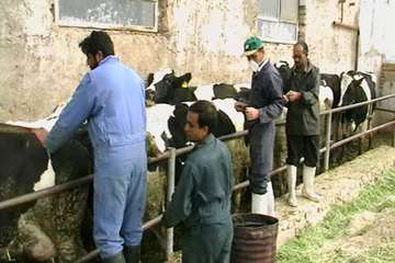 فعالیت های بخش اداره مبارزه