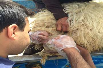 فعالیت های بخش اداره مبارزه