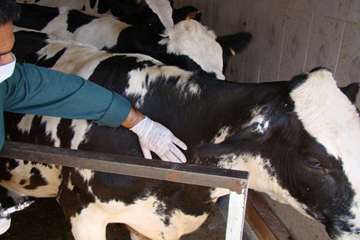 فعالیت های بخش اداره مبارزه