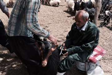 فعالیت های بخش اداره مبارزه