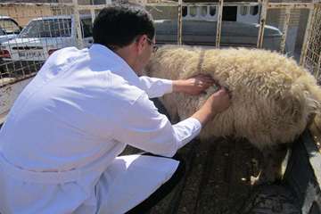 درمان بیماری ها