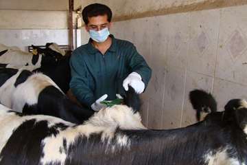 فعالیت های بخش اداره مبارزه