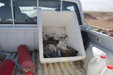 فعالیت های بخش نظارت