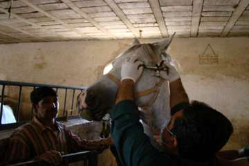 فعالیت های بخش اداره مبارزه