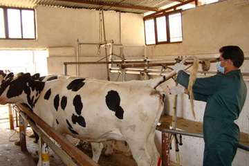 فعالیت های بخش اداره مبارزه