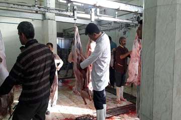 94/6/22، فعالیت اکیپ شبکه های دامپزشکی در روز عید سعید قربان