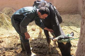 فعالیت های بخش اداره مبارزه