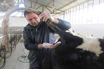 فعالیت های بخش اداره مبارزه