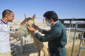 فعالیت های بخش اداره مبارزه