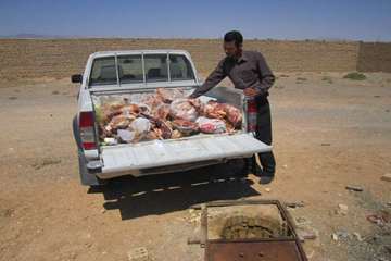 فعالیت های بخش نظارت