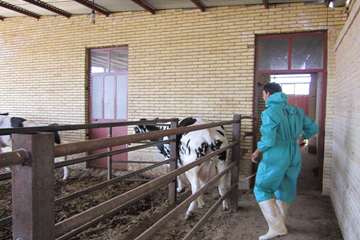 فعالیت های بخش اداره مبارزه