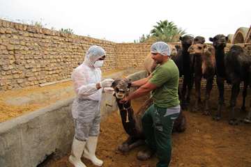 فعالیت های بخش اداره مبارزه