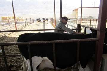 فعالیت های بخش اداره مبارزه