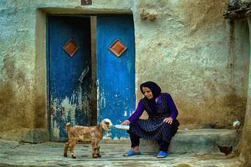 منتخب عکس‌های برگزیده جشنواره بیطار ۱۳۹۶