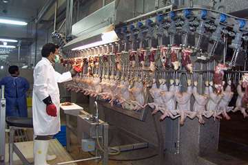 منتخب عکس‌های برگزیده جشنواره بیطار ۱۳۹۶