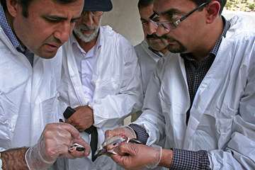 منتخب عکس‌های برگزیده جشنواره بیطار ۱۳۹۶