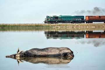منتخب عکس‌های برگزیده جشنواره بیطار ۱۳۹۶