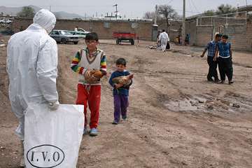 منتخب عکس‌های برگزیده جشنواره بیطار ۱۳۹۶