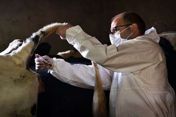 منتخب عکس‌های برگزیده جشنواره بیطار ۱۳۹۶