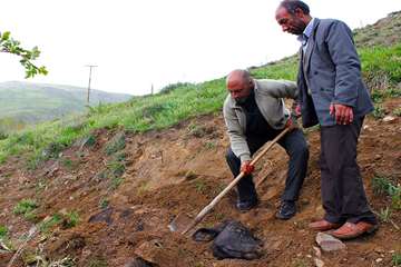 منتخب عکس‌های برگزیده جشنواره بیطار ۱۳۹۶