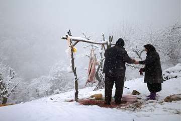 منتخب عکس‌های برگزیده جشنواره بیطار ۱۳۹۶