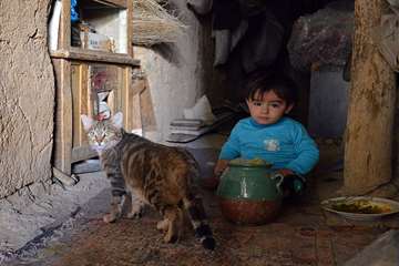 منتخب عکس‌های برگزیده جشنواره بیطار ۱۳۹۶