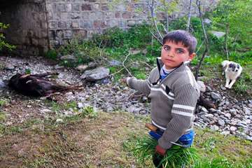 منتخب عکس‌های برگزیده جشنواره بیطار ۱۳۹۶