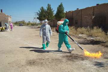 منتخب عکس‌های برگزیده جشنواره بیطار ۱۳۹۶