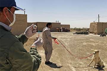 منتخب عکس‌های برگزیده جشنواره بیطار ۱۳۹۶