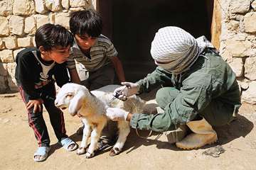 منتخب عکس‌های برگزیده جشنواره بیطار ۱۳۹۶