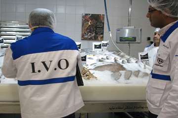 نظارت بر فرآورده‌های خام دامی در ایام نوروز سال ۱۳۹۸