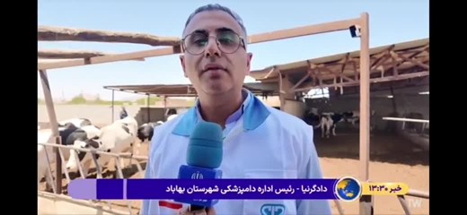 آغاز طرح واکسیناسیون بیماری تب برفکی دام سنگین روستایی و عشایری در شهرستان بهاباد