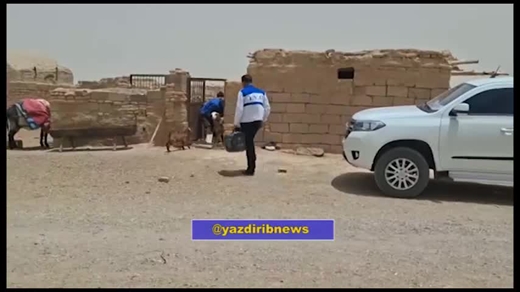 آغاز طرح واکسیناسیون تب مالت دام‌ها در خاتم