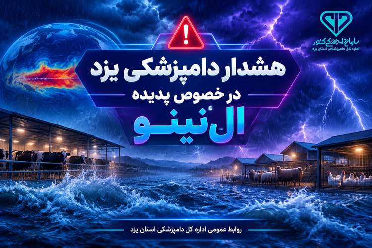 هشدار دامپزشکی یزد به پرورش‌دهندگان دام و طیور؛ آماده‌باش کامل در برابر خطرات «ال‌نینو»