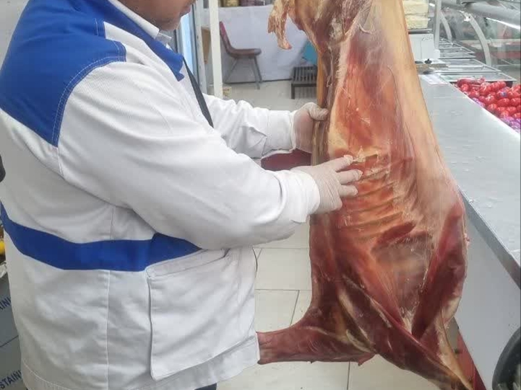 جمع‌آوری ۲ هزار کیلوگرم فرآورده های خام دامی فاسد در شهرستان یزد