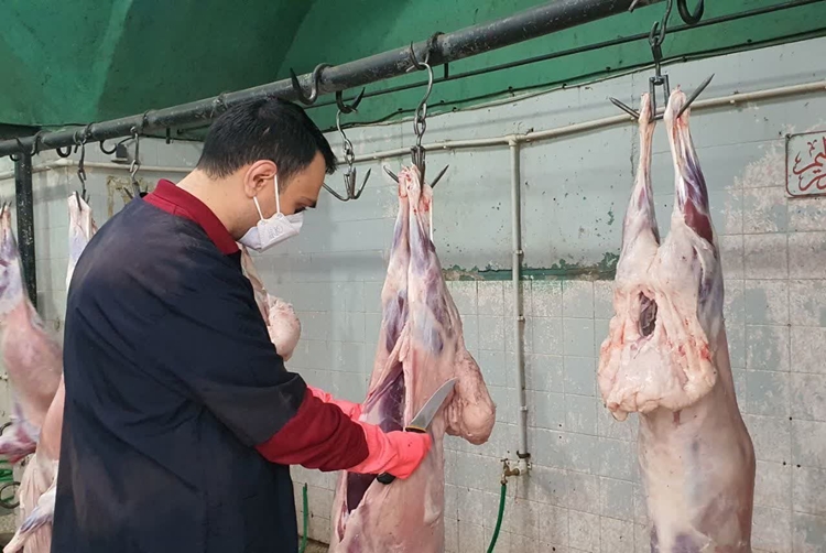 نظارت ویژه بر ذبح بهداشتی و شرعی در کشتارگاه شهرستان مروست